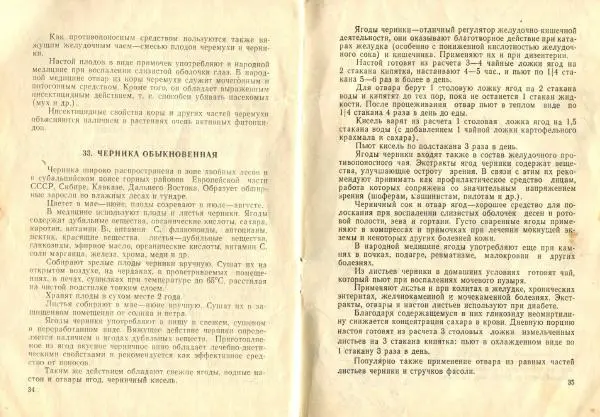  Коллектив авторов - Пищевые растения и их целебные свойства - Страница № 19