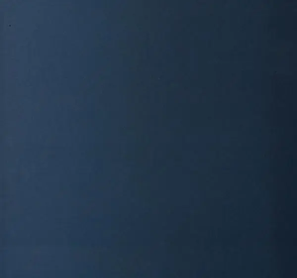  Коллектив авторов - Художники Американского Запада 1830-1940 - Страница № 2