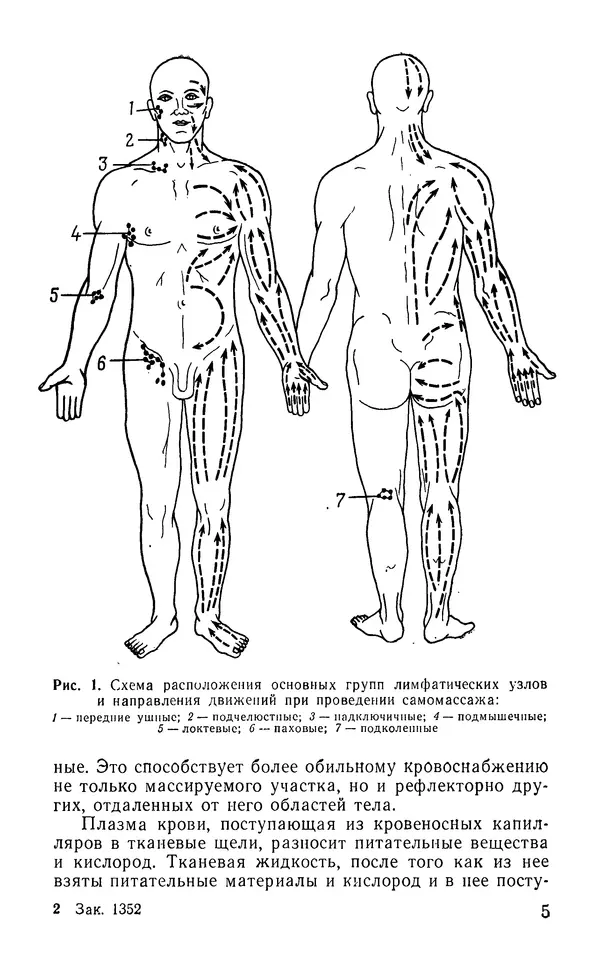 М. Воробьев - Методическое пособие по проведению самомассажа в условиях корабля - Страница № 6 М. Воробьев - Методическое пособие по проведению самомассажа в условиях корабля - Страница № 6