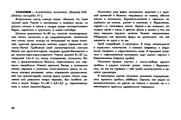 Борис Васильков - Грибы - Страница № 18