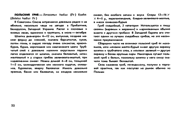 Борис Васильков - Грибы - Страница № 24