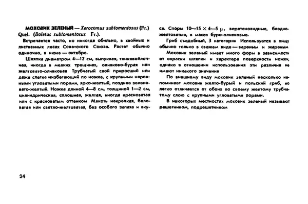 Борис Васильков - Грибы - Страница № 26