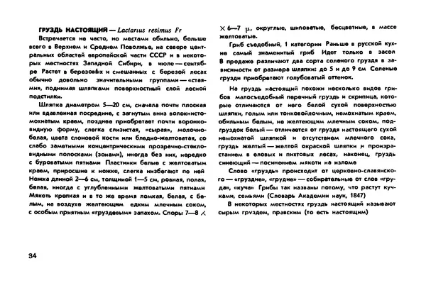 Борис Васильков - Грибы - Страница № 36
