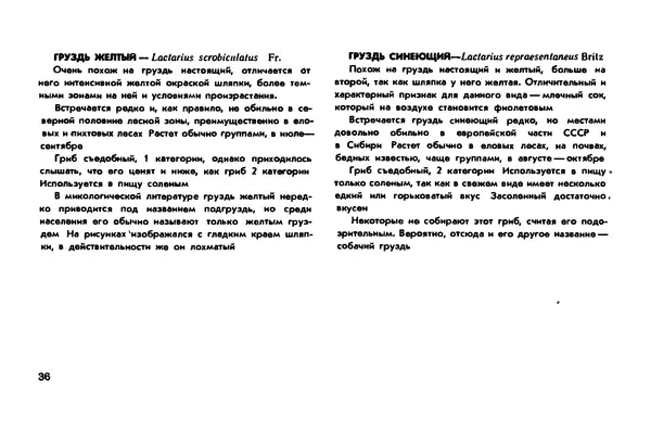 Борис Васильков - Грибы - Страница № 38