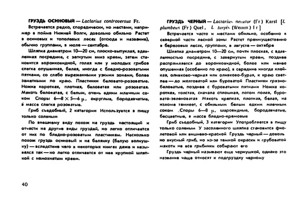 Борис Васильков - Грибы - Страница № 42