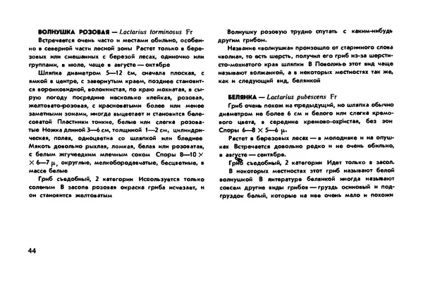 Борис Васильков - Грибы - Страница № 46