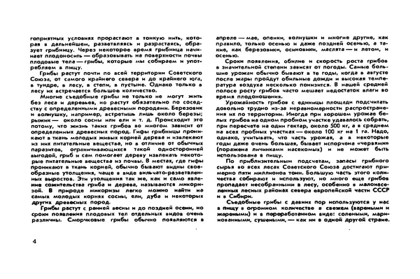 Борис Васильков - Грибы - Страница № 5