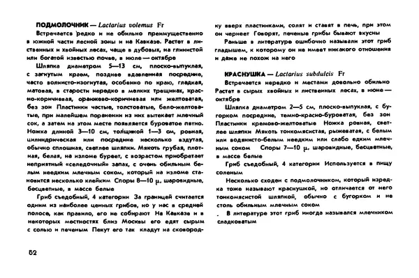 Борис Васильков - Грибы - Страница № 54