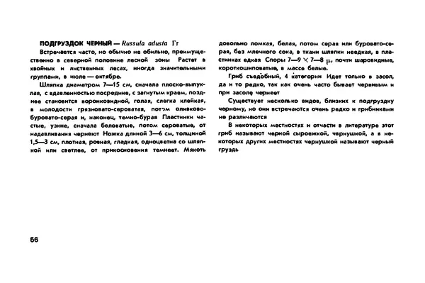 Борис Васильков - Грибы - Страница № 58