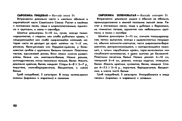 Борис Васильков - Грибы - Страница № 62