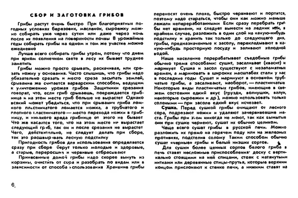 Борис Васильков - Грибы - Страница № 7