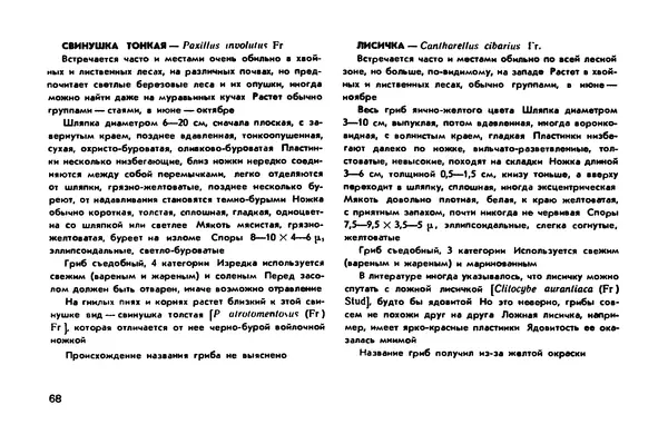 Борис Васильков - Грибы - Страница № 70
