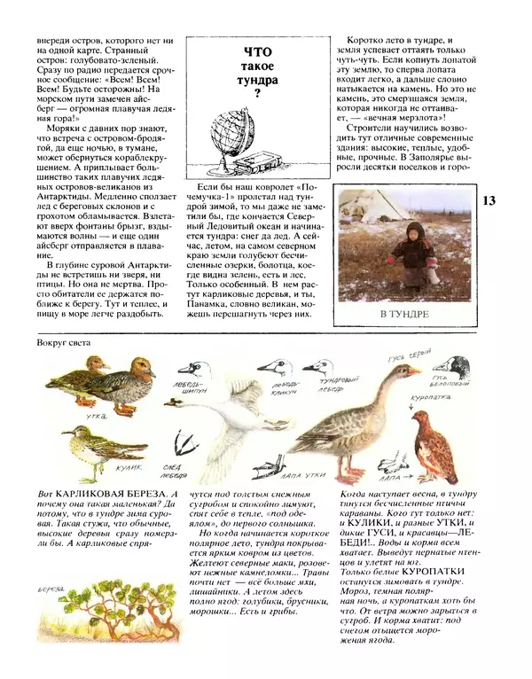 Римма Кошурникова - Почемучка - Страница № 17