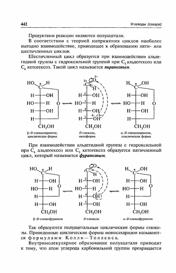 В. Черных - Лекции по органической химии В. П. Черных : Учебное пособие для студентов вузов - Страница № 443