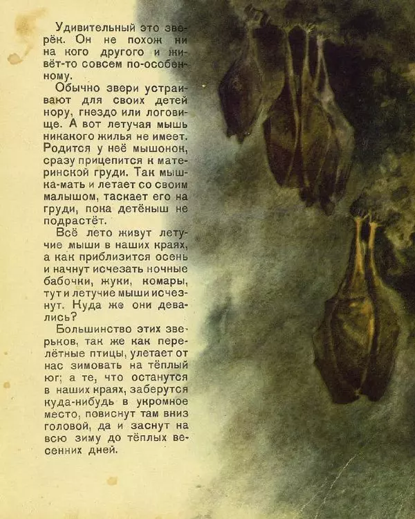 Георгий Скребицкий - Новые знакомые - Страница № 10