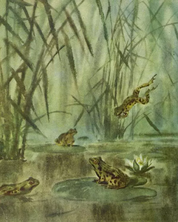 Георгий Скребицкий - Новые знакомые - Страница № 11