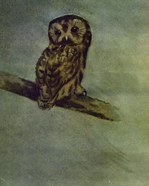 Георгий Скребицкий - Новые знакомые - Страница № 15