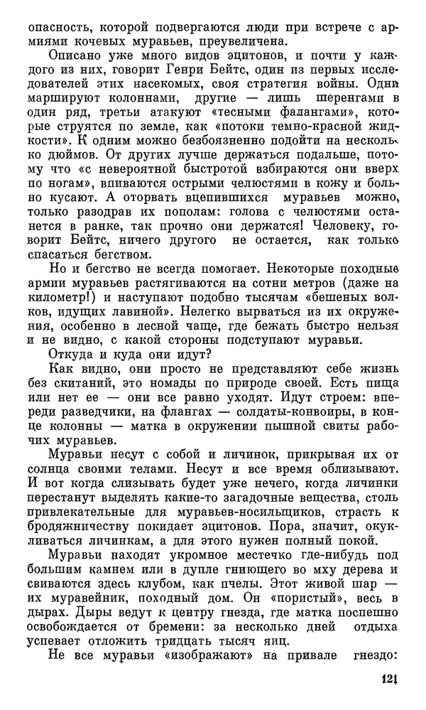Игорь Акимушкин - Проблемы этологии - Страница № 122