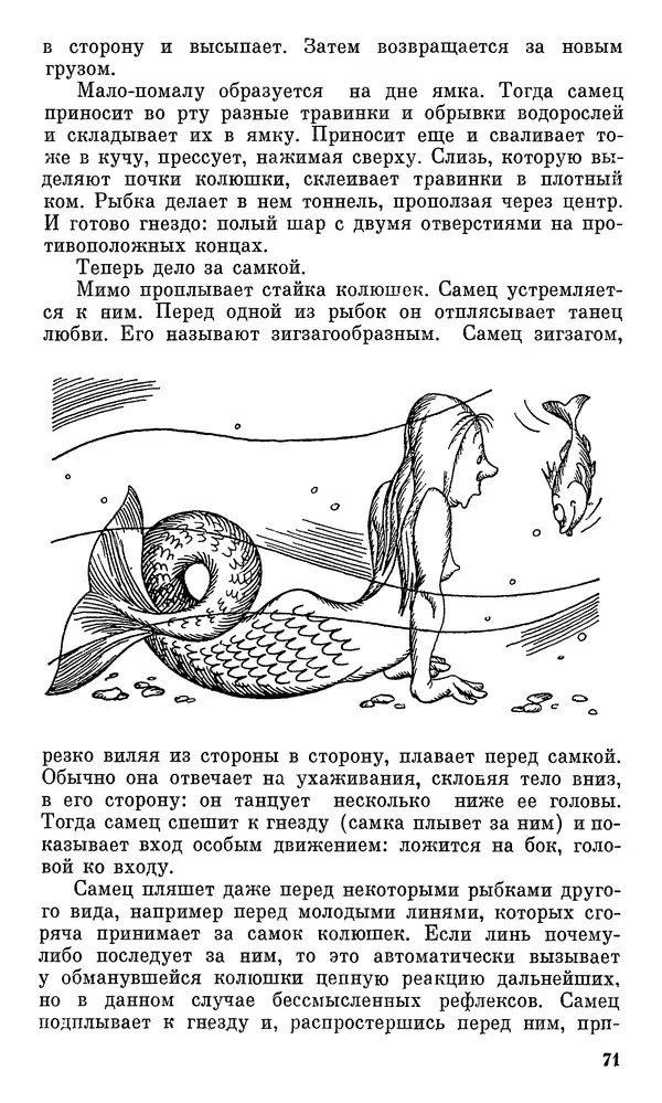 Игорь Акимушкин - Проблемы этологии - Страница № 72