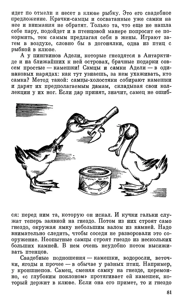 Игорь Акимушкин - Проблемы этологии - Страница № 82
