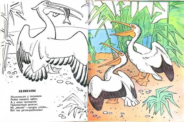 Николай Костарев - Чудо-чудеса - Страница № 5 Николай Костарев - Чудо-чудеса - Страница № 5