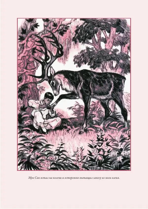 Нисон Ходза - Сказки народов Азии - Страница № 368