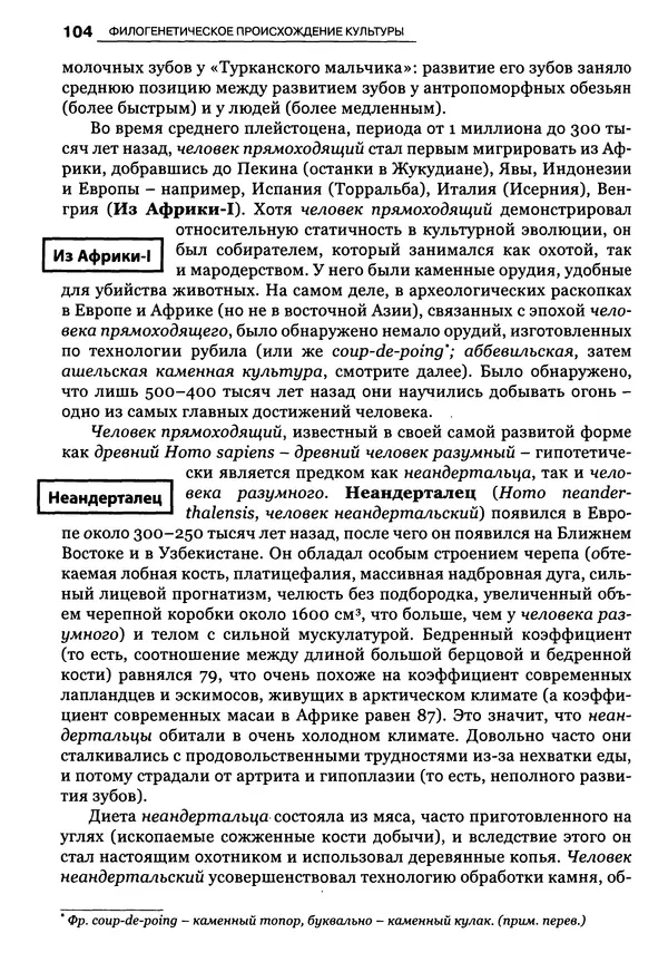 Луиджи Анолли - Психология культуры - Страница № 104
