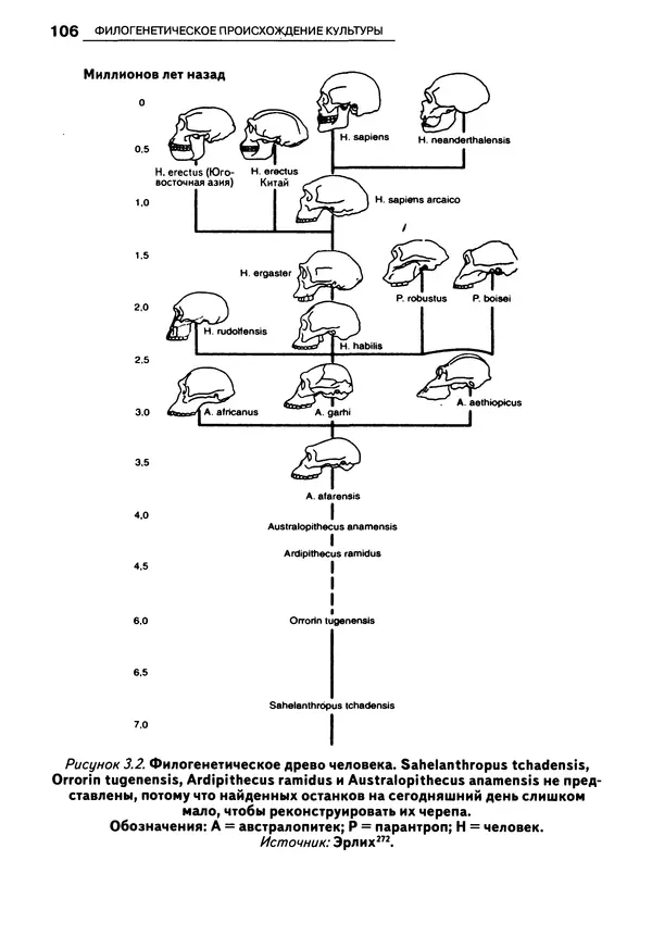 Луиджи Анолли - Психология культуры - Страница № 106