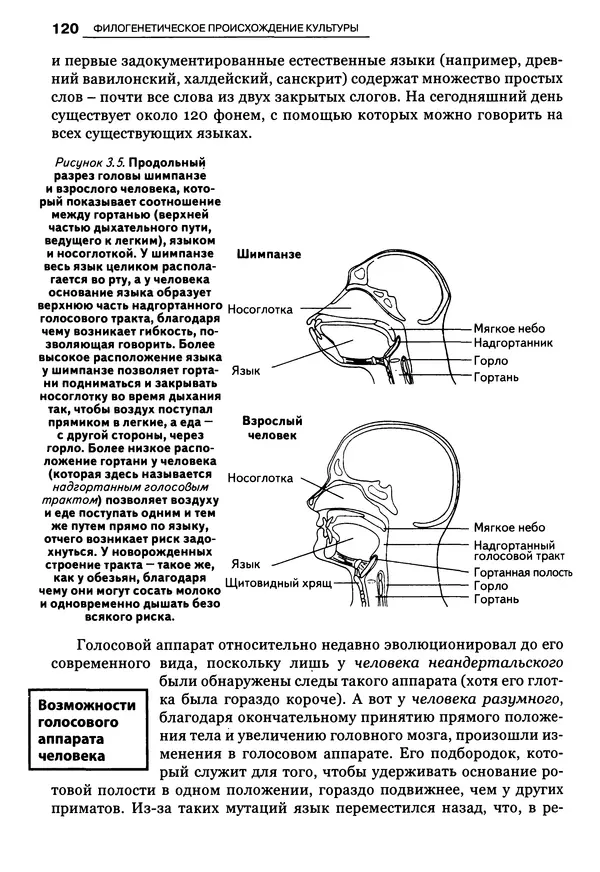 Луиджи Анолли - Психология культуры - Страница № 120