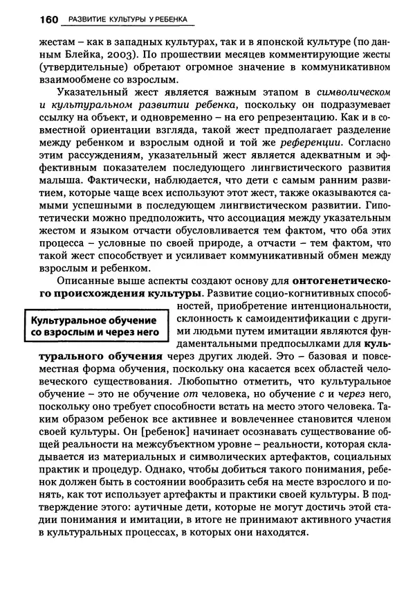 Луиджи Анолли - Психология культуры - Страница № 160
