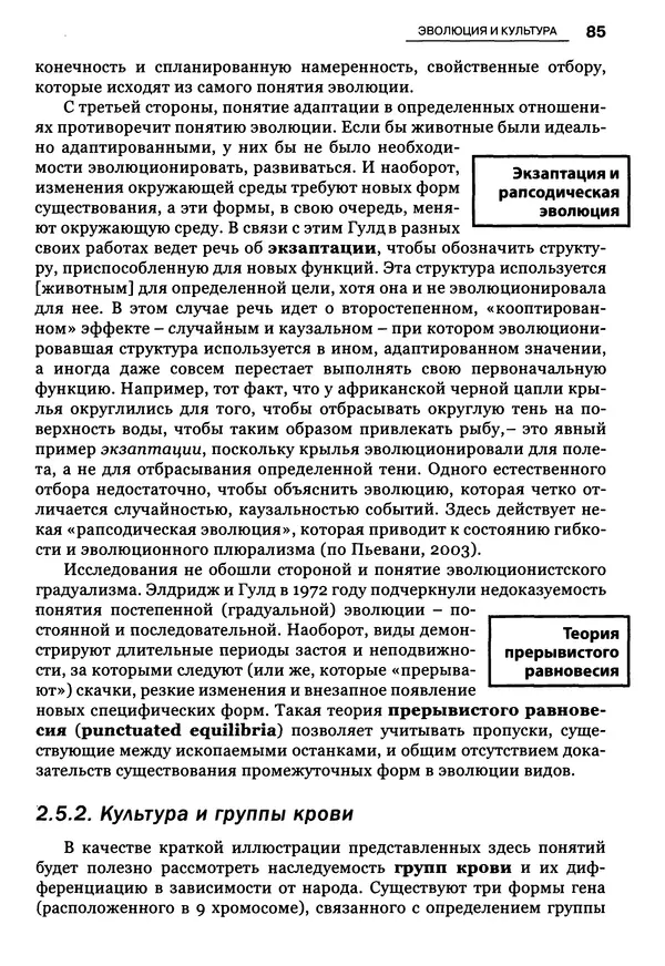 Луиджи Анолли - Психология культуры - Страница № 85
