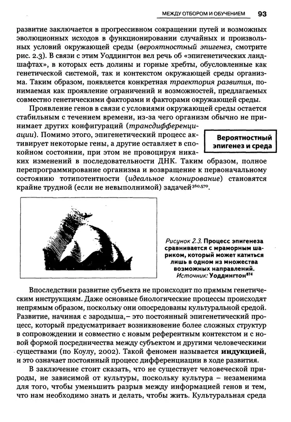 Луиджи Анолли - Психология культуры - Страница № 93