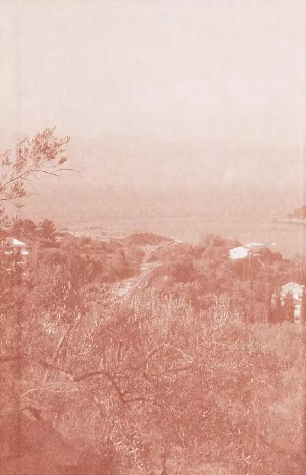 Сборник  - Святитель Спиридон Тримифунтский. Житие, чудеса, канон, акафист - Страница № 2