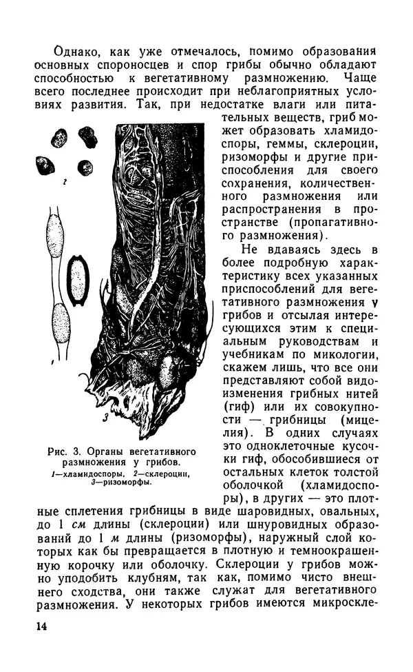 Михаил Хохряков - Вредные и полезные грибы - Страница № 15
