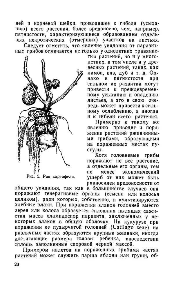 Михаил Хохряков - Вредные и полезные грибы - Страница № 21