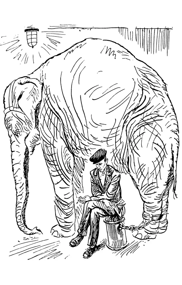 Виктор Драгунский - Избранное. Рассказы - Страница № 322