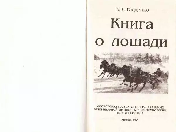 Владимир Гладенко - Книга о лошади - Страница № 2 Владимир Гладенко - Книга о лошади - Страница № 2