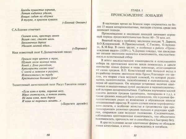 Владимир Гладенко - Книга о лошади - Страница № 7 Владимир Гладенко - Книга о лошади - Страница № 7