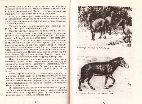 Владимир Гладенко - Книга о лошади - Страница № 9 Владимир Гладенко - Книга о лошади - Страница № 9
