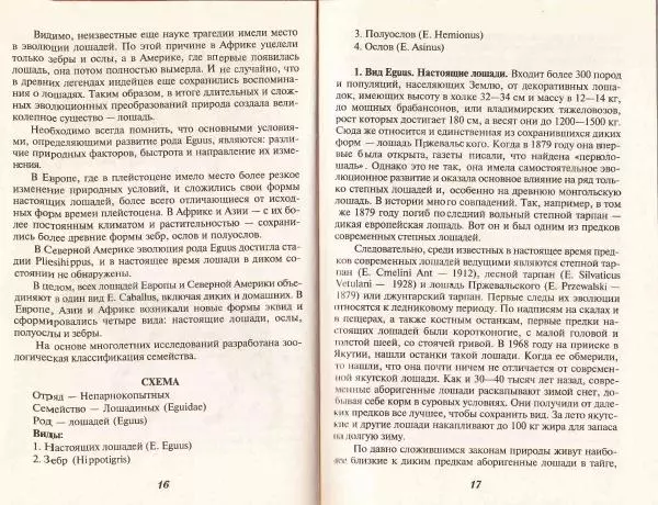 Владимир Гладенко - Книга о лошади - Страница № 10 Владимир Гладенко - Книга о лошади - Страница № 10