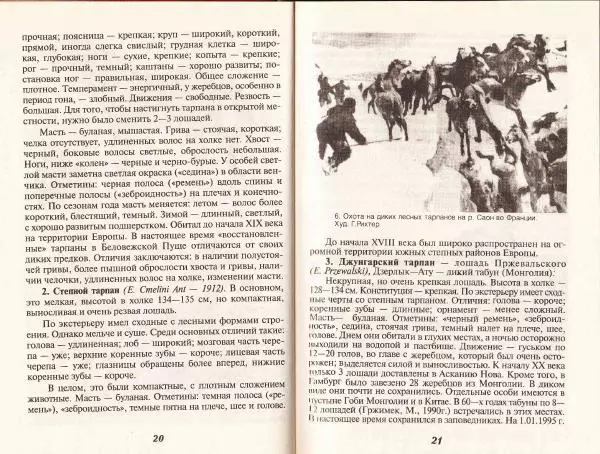 Владимир Гладенко - Книга о лошади - Страница № 12 Владимир Гладенко - Книга о лошади - Страница № 12