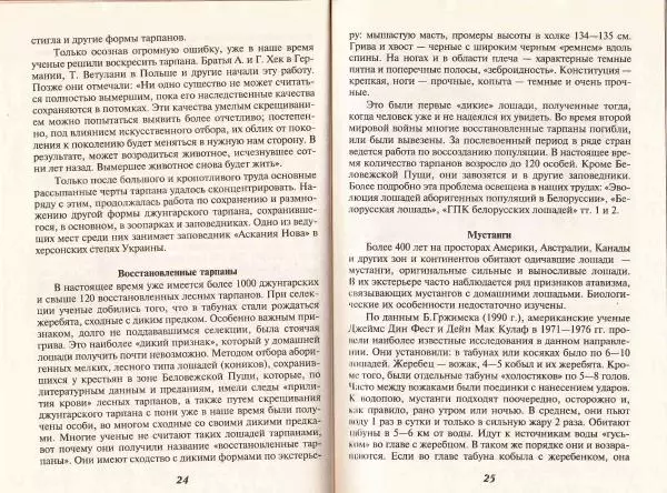 Владимир Гладенко - Книга о лошади - Страница № 14 Владимир Гладенко - Книга о лошади - Страница № 14