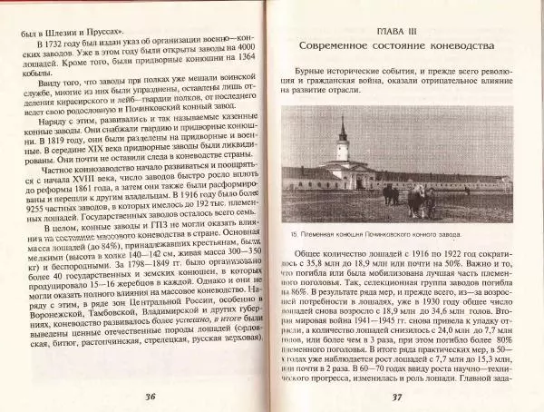 Владимир Гладенко - Книга о лошади - Страница № 20 Владимир Гладенко - Книга о лошади - Страница № 20