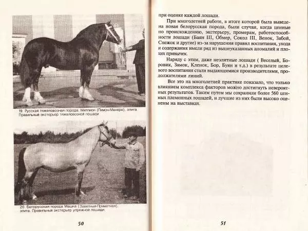 Владимир Гладенко - Книга о лошади - Страница № 27 Владимир Гладенко - Книга о лошади - Страница № 27