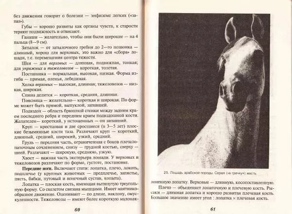 Владимир Гладенко - Книга о лошади - Страница № 32
