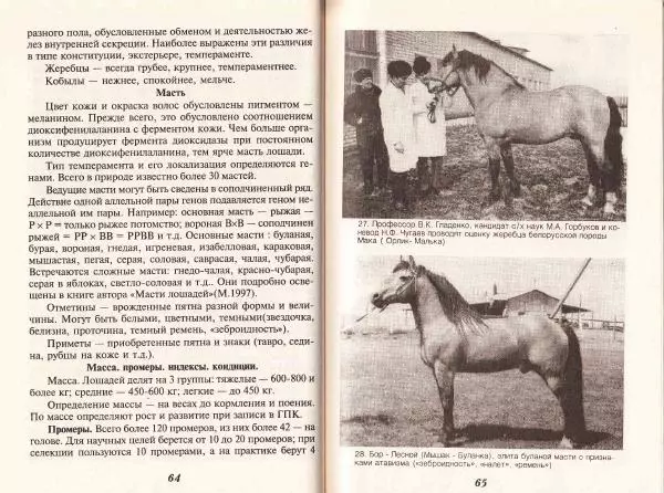 Владимир Гладенко - Книга о лошади - Страница № 34