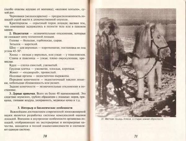 Владимир Гладенко - Книга о лошади - Страница № 37