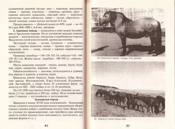 Владимир Гладенко - Книга о лошади - Страница № 44