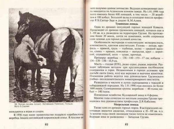Владимир Гладенко - Книга о лошади - Страница № 48