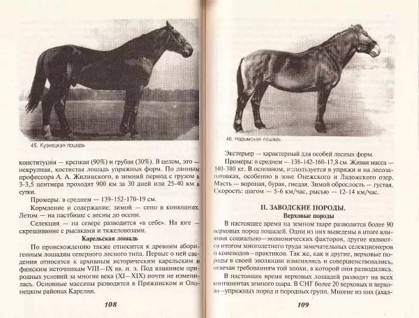 Владимир Гладенко - Книга о лошади - Страница № 56